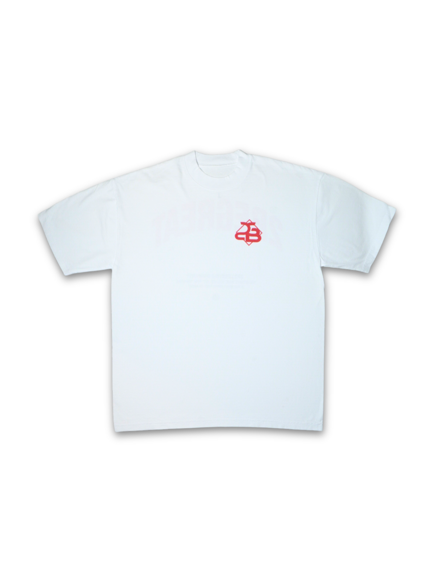 2BEGREAT OVERSIZED TEE- WHITE